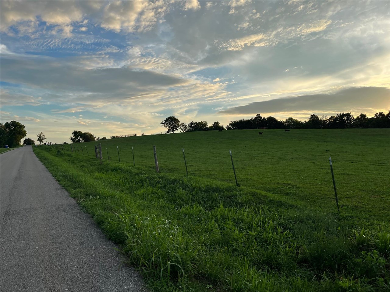 845 Mouth of Bear Creek Road, Brownsville, KY 42210