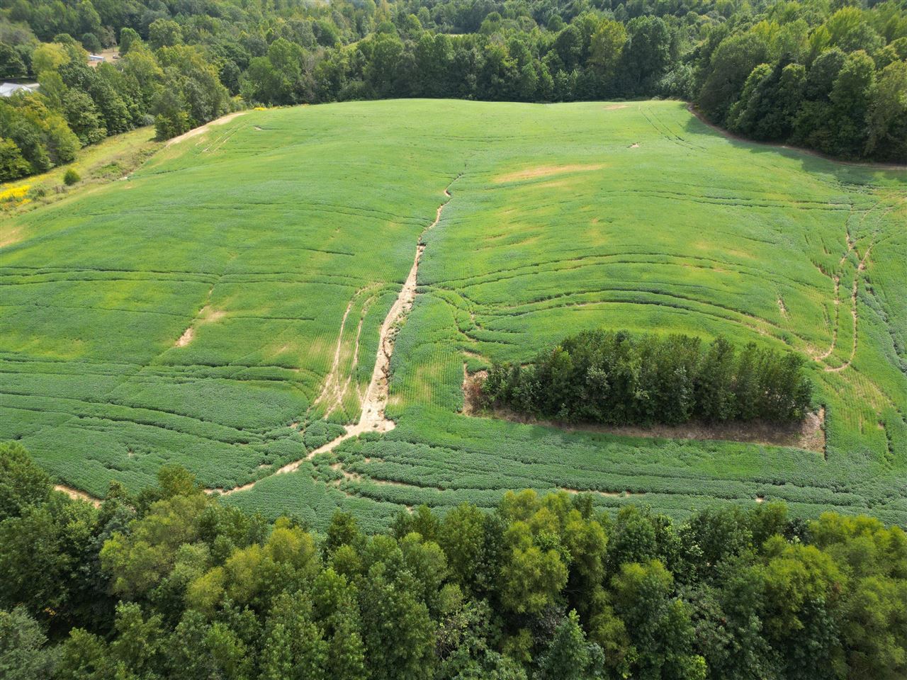 0 Highway 601, Greenville, KY 42345