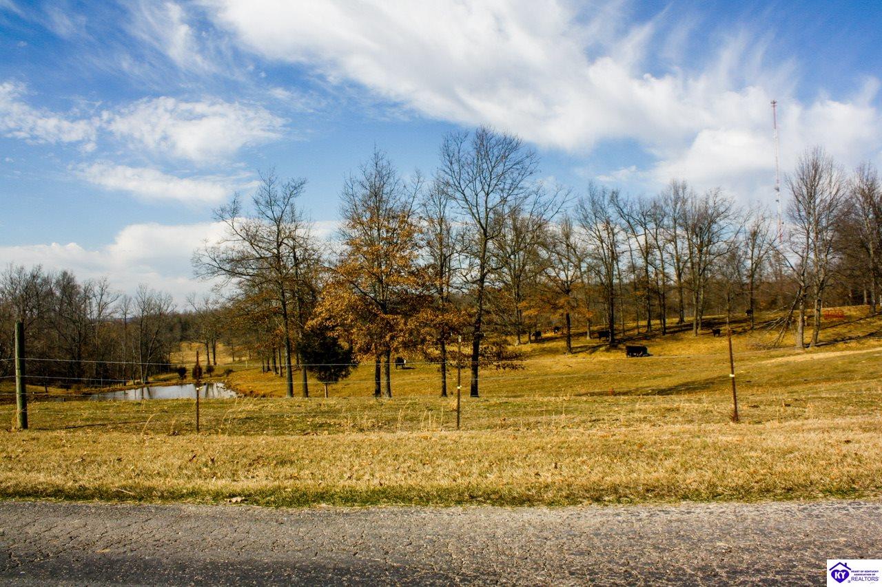 Listing Picture 2543 Springfield Road Elizabethtown, KY 42701 MLS HK23003422