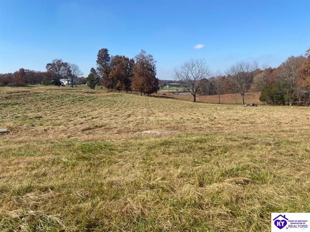 3157 Lot 2 Brandenburg RoadLeitchfield, KY 42754