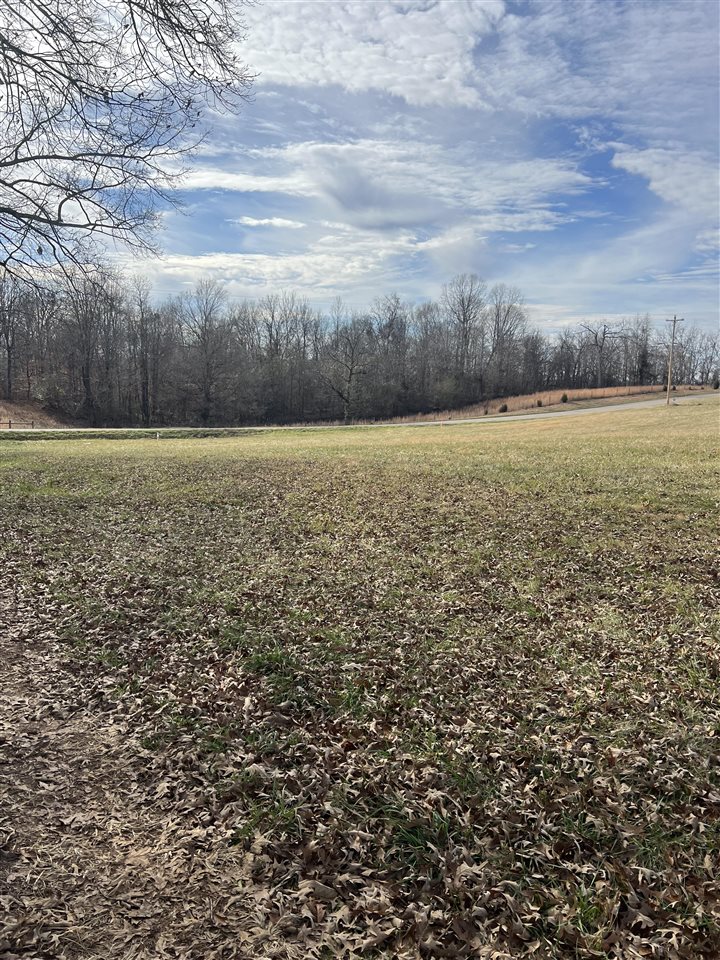 Tract 2 Meador Port Oliver Road, Scottsville, KY 42164