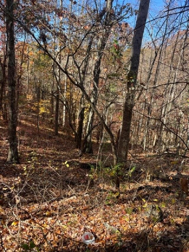 10 AC Hatcher Valley Road, Horse Cave, KY 