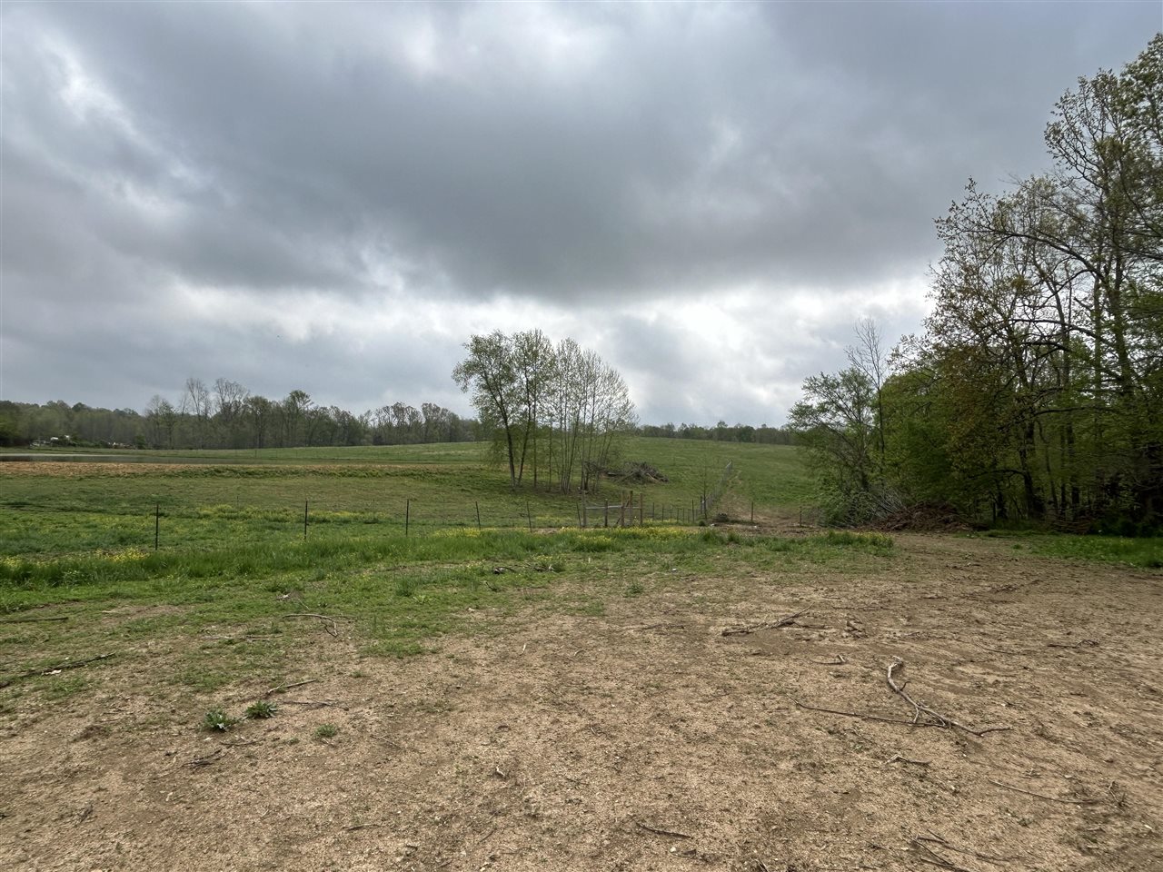 2111 Turkey Knob Road