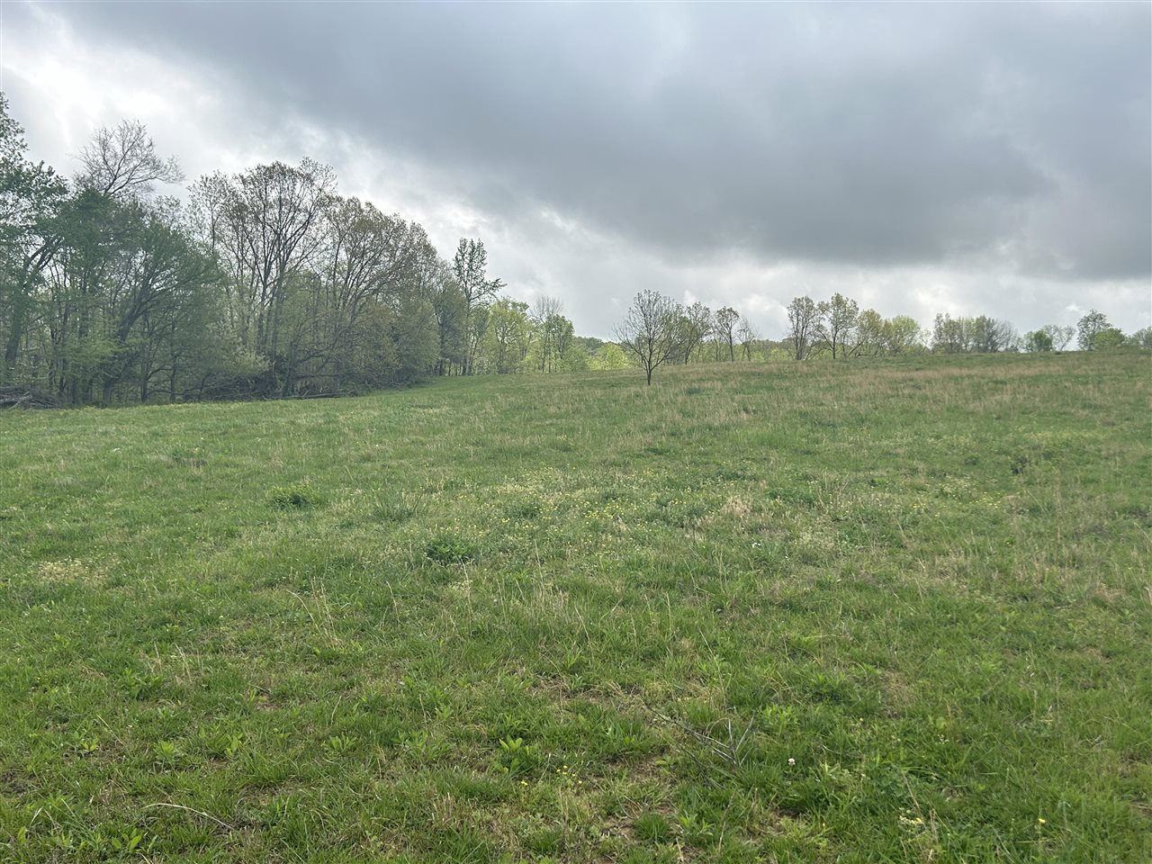 2111 Turkey Knob Road