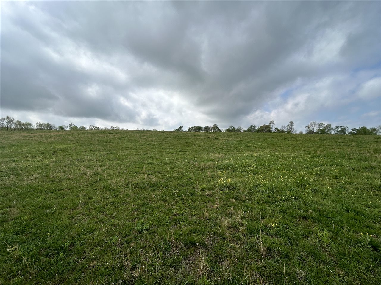 2111 Turkey Knob Road
