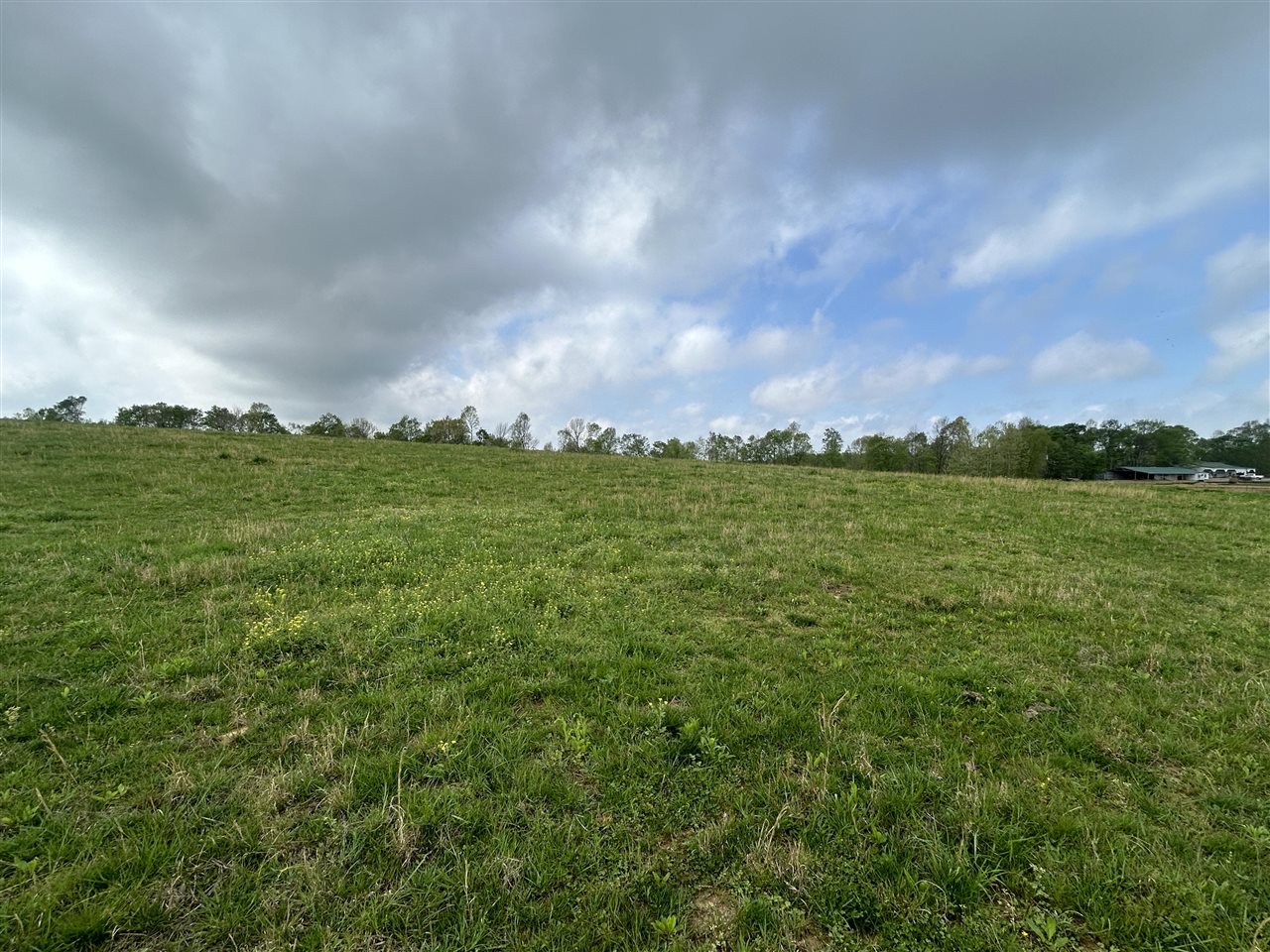 2111 Turkey Knob Road