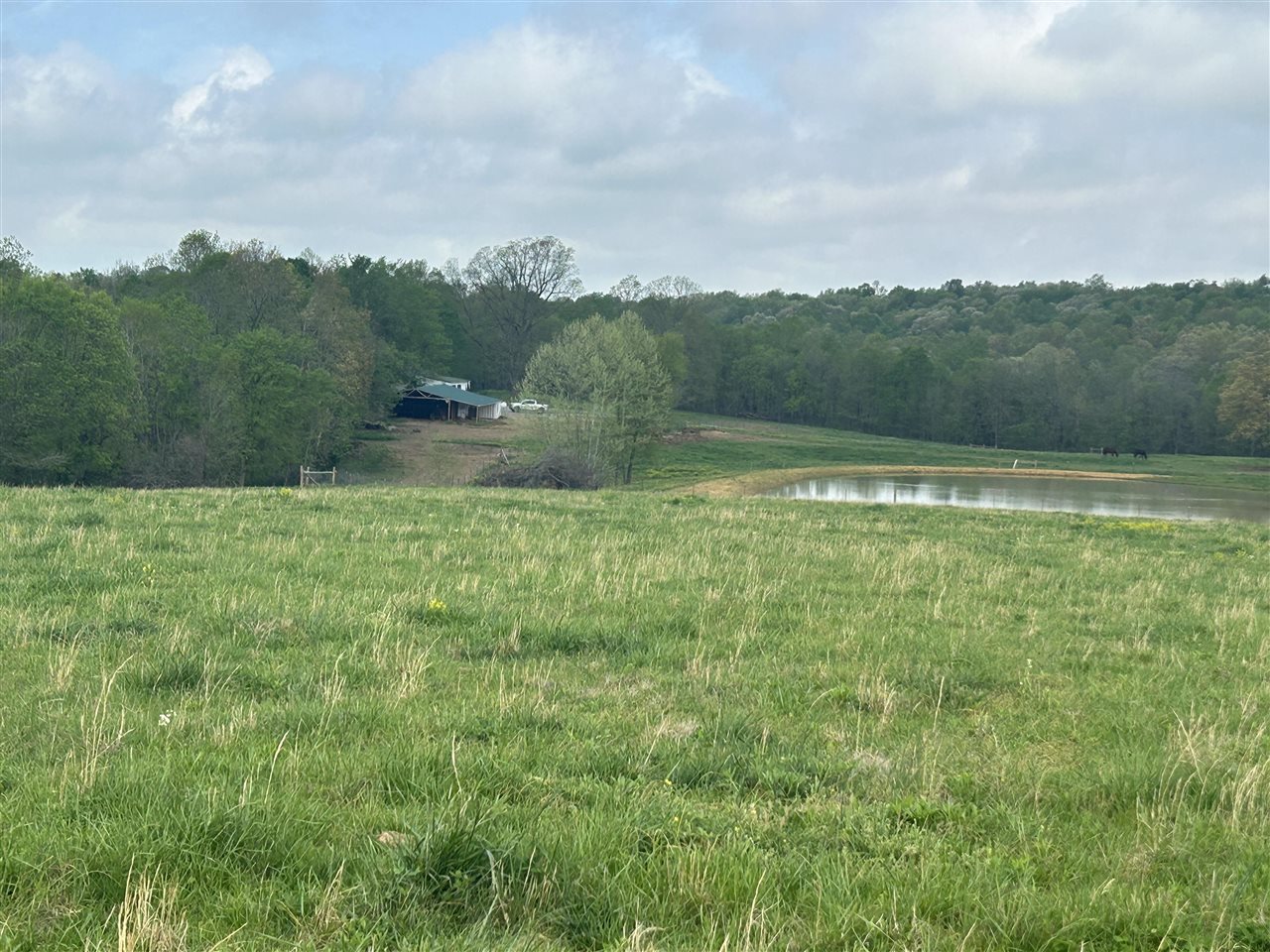 2111 Turkey Knob Road