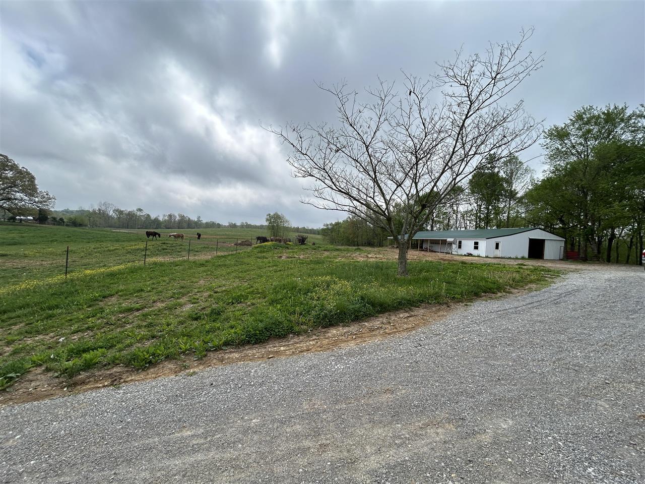 2111 Turkey Knob Road