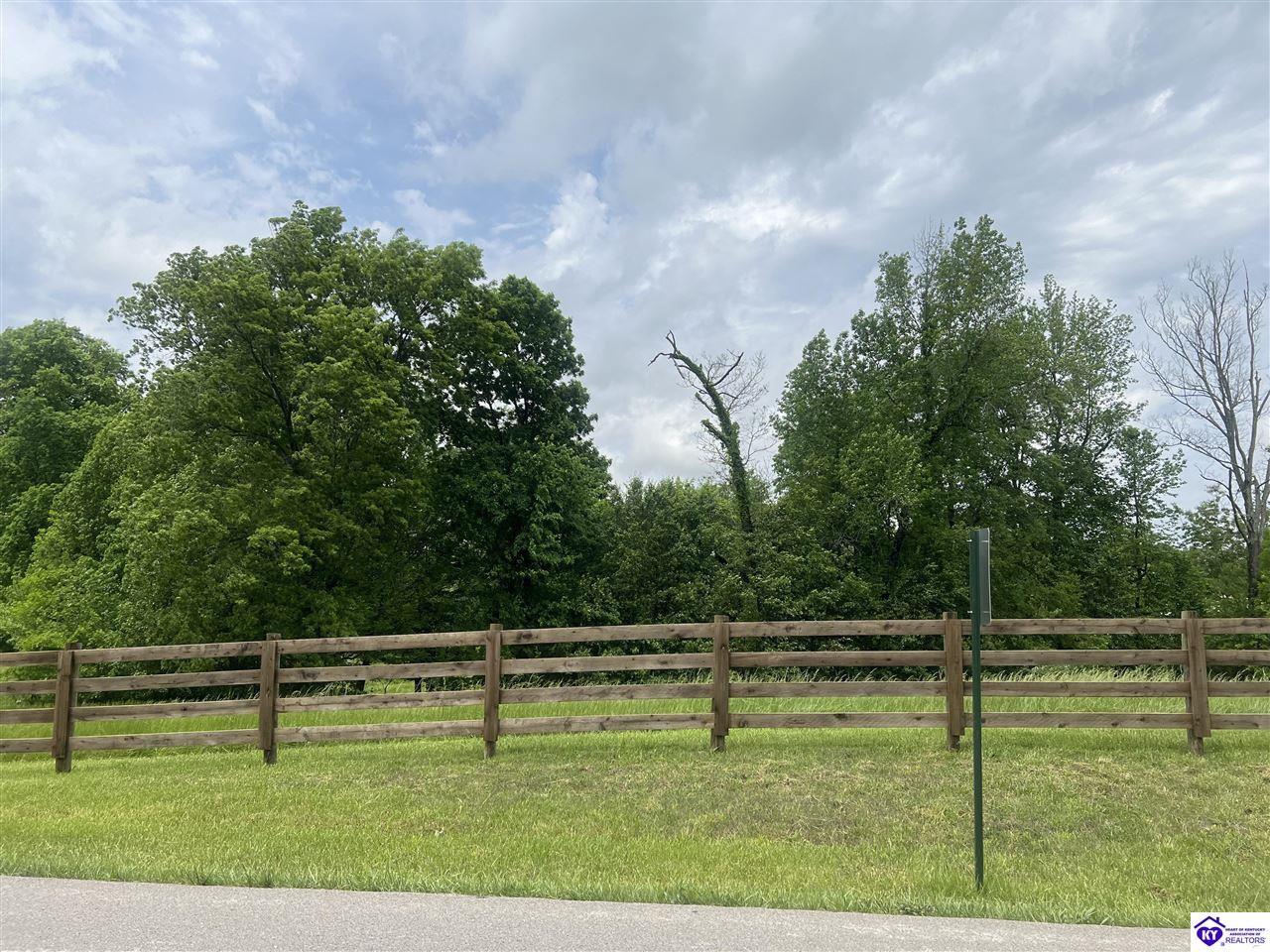 Lot 2C Overall Phillips RoadElizabethtown, KY 42701