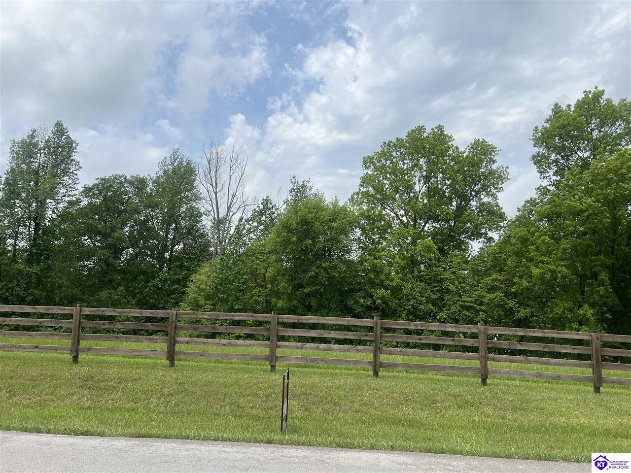 Lot2D Overall Phillips RoadElizabethtown, KY 42701