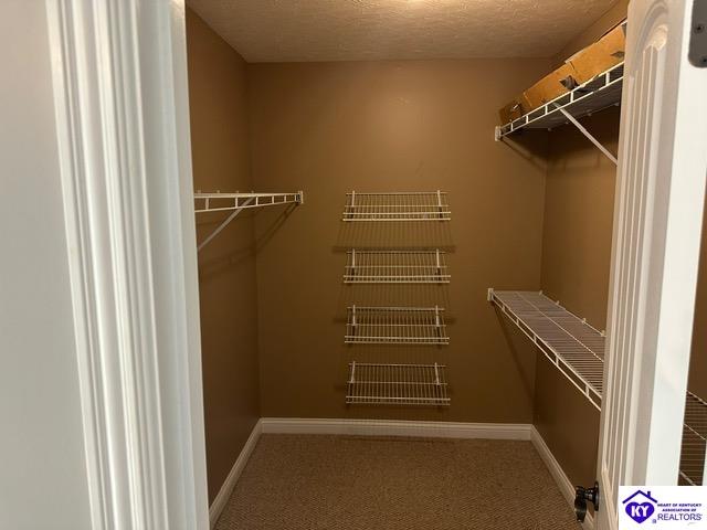 Listing Picture 272 Tumbleweed Court Elizabethtown, KY 42701 MLS HK24001695