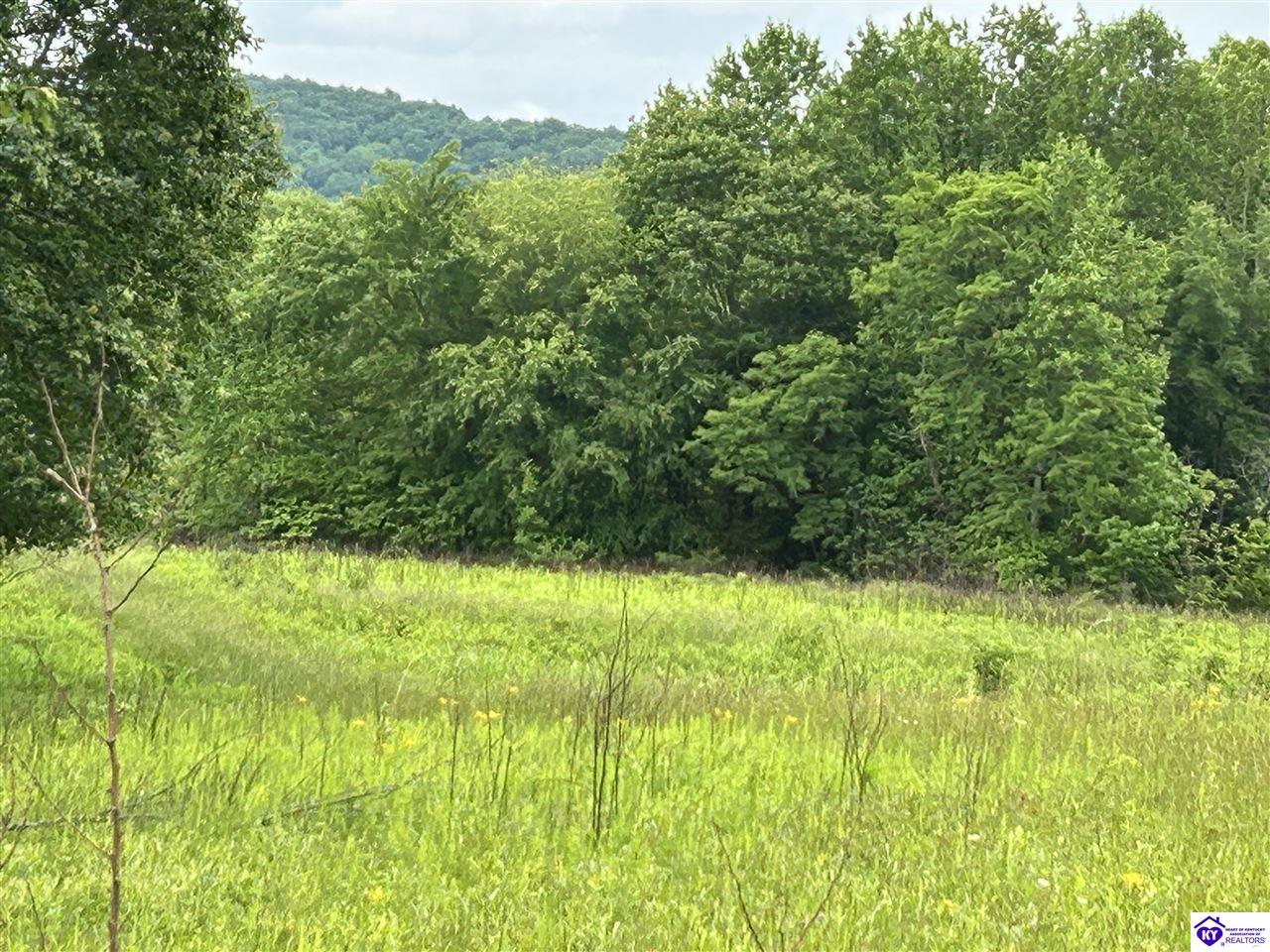 000 Reddie Tucker Road SouthColumbia, KY 42728
