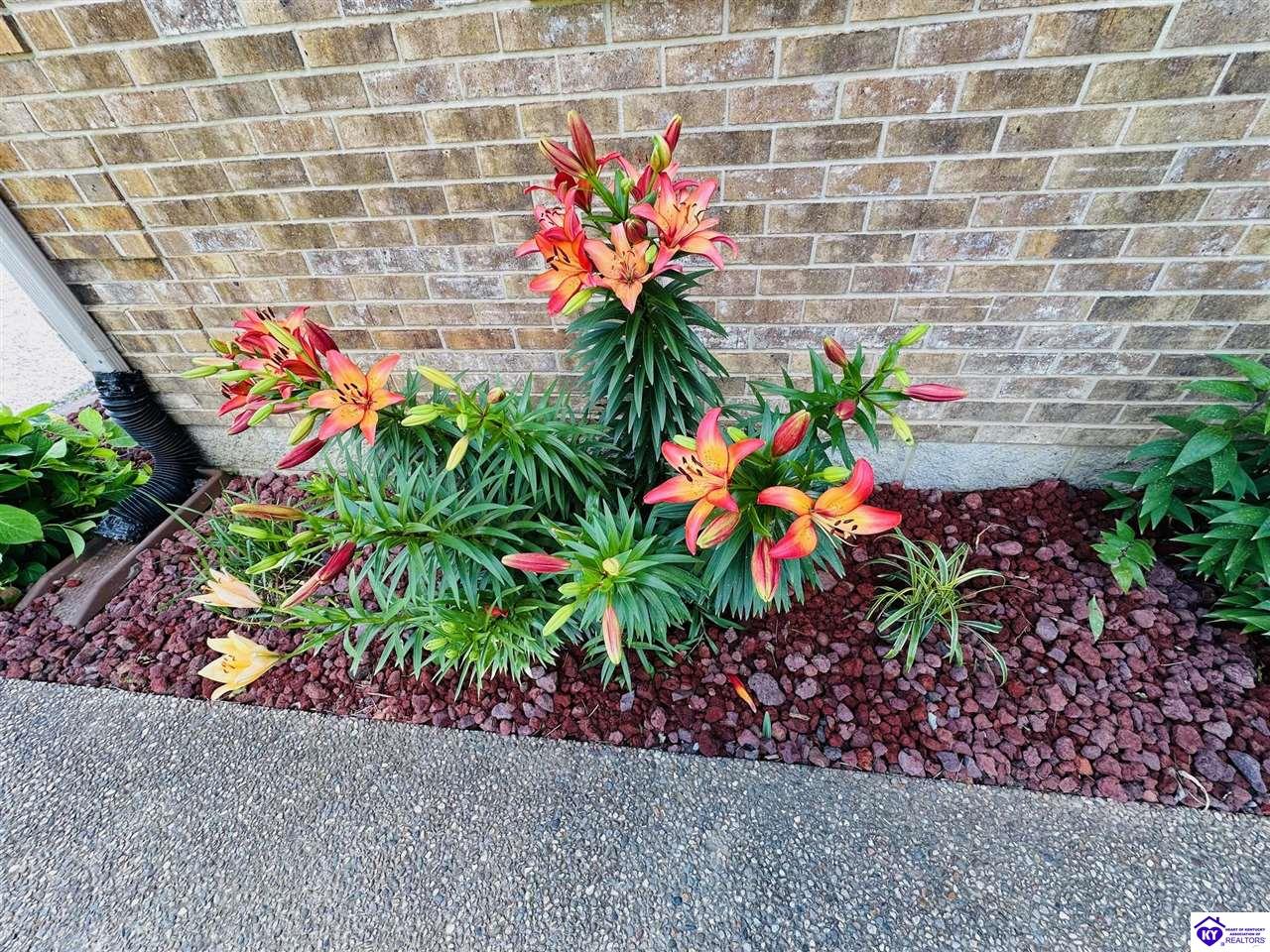 Listing Picture 975 Christerson Lane Campbellsville, KY 42718 MLS HK24001929