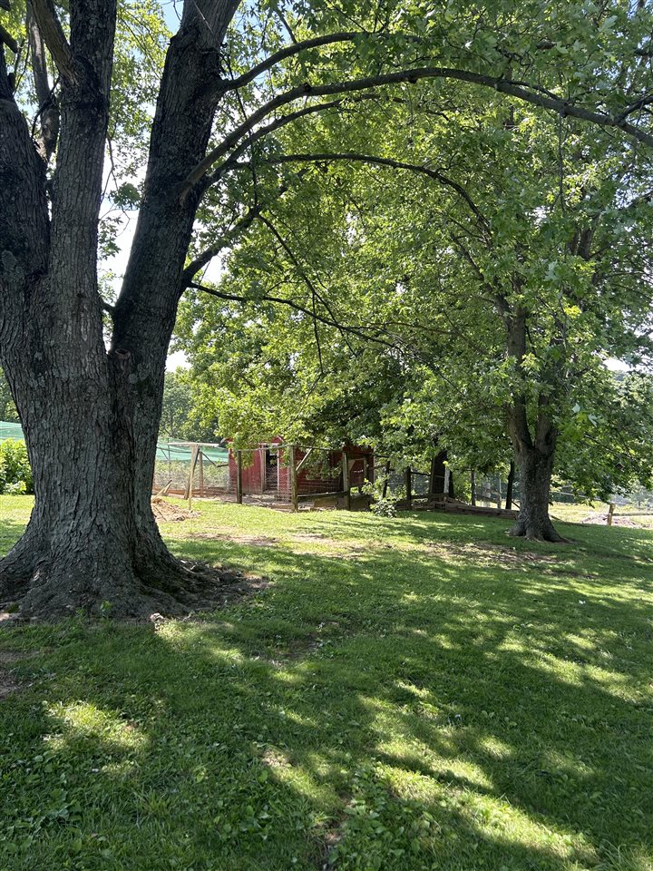 2470 Mount Zion Church Road