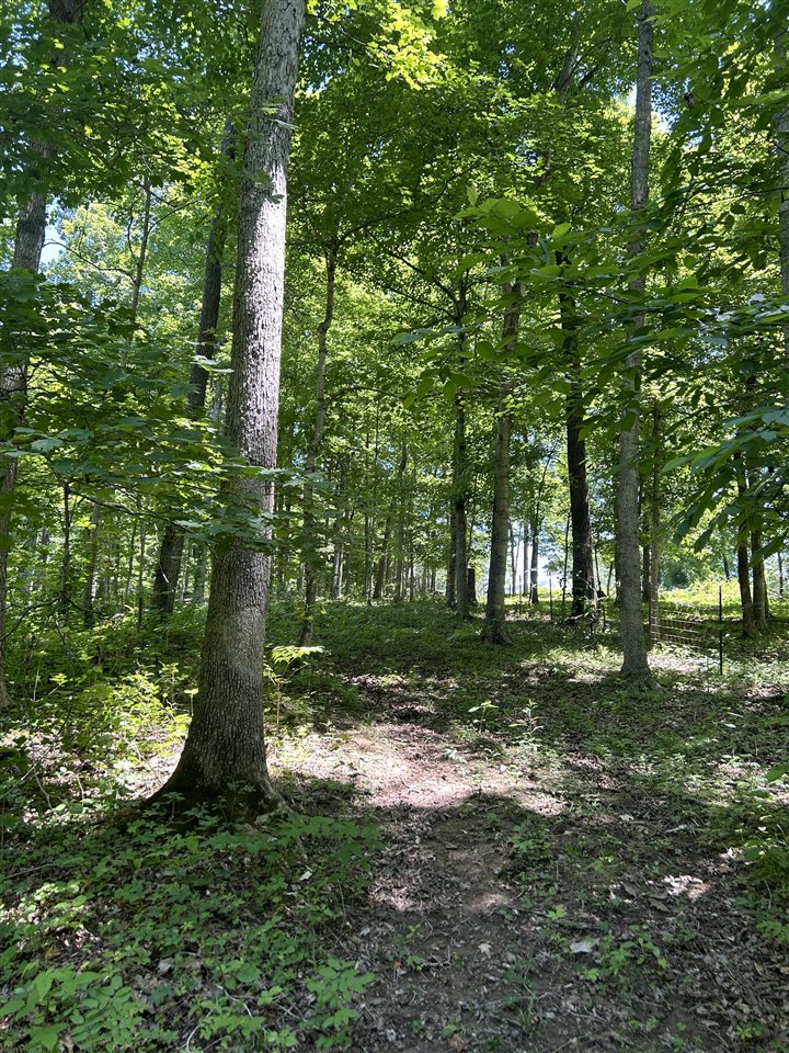 2470 Mount Zion Church Road