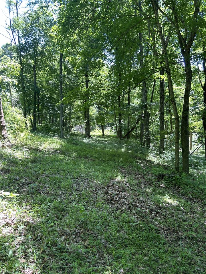2470 Mount Zion Church Road