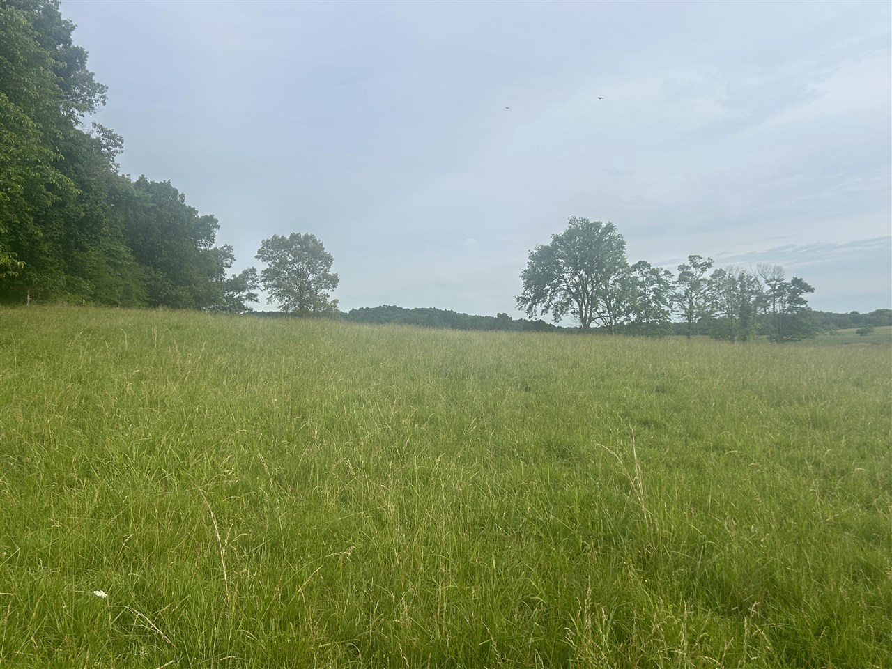 2700 State Route 654