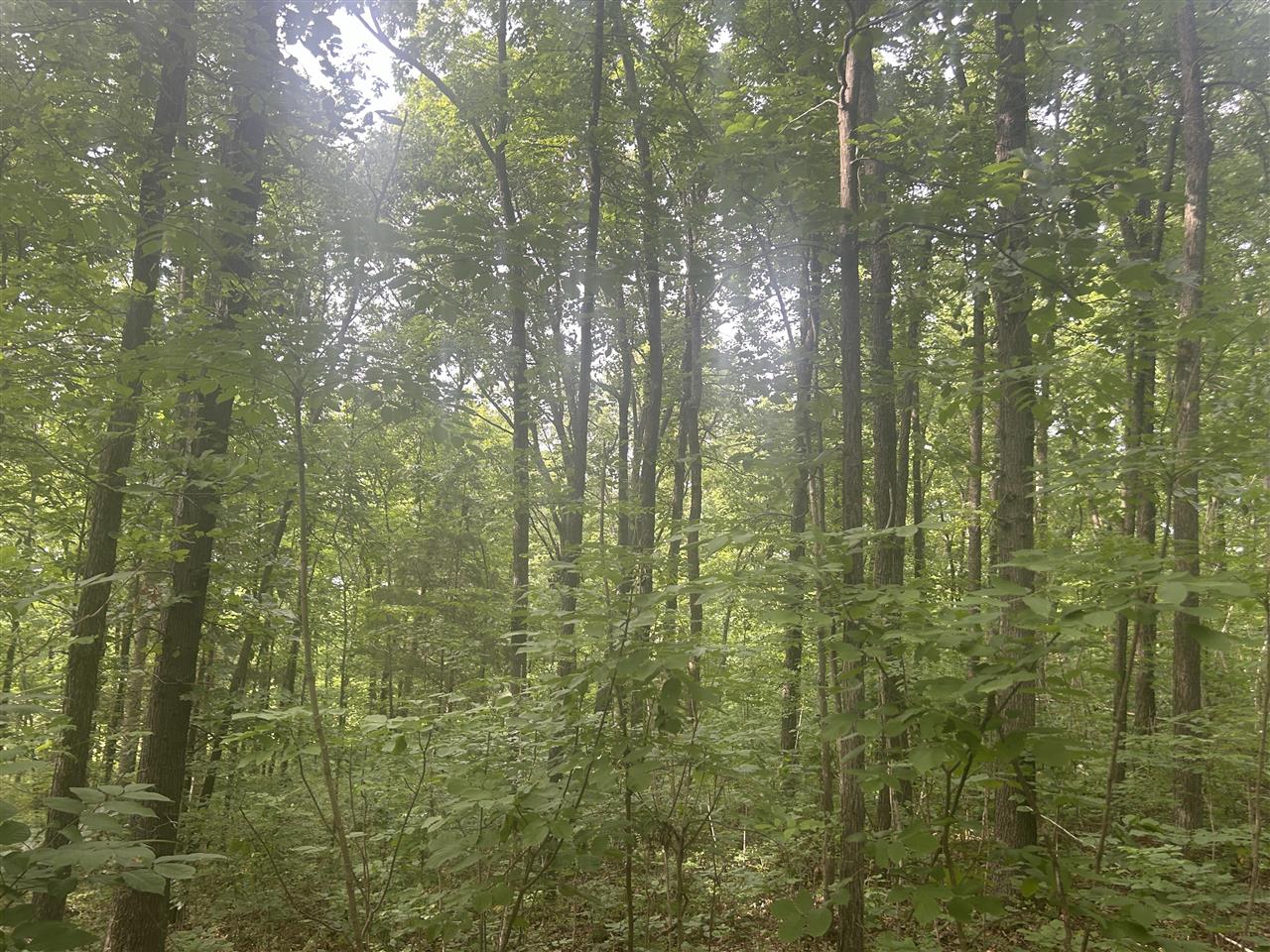 2700 State Route 654