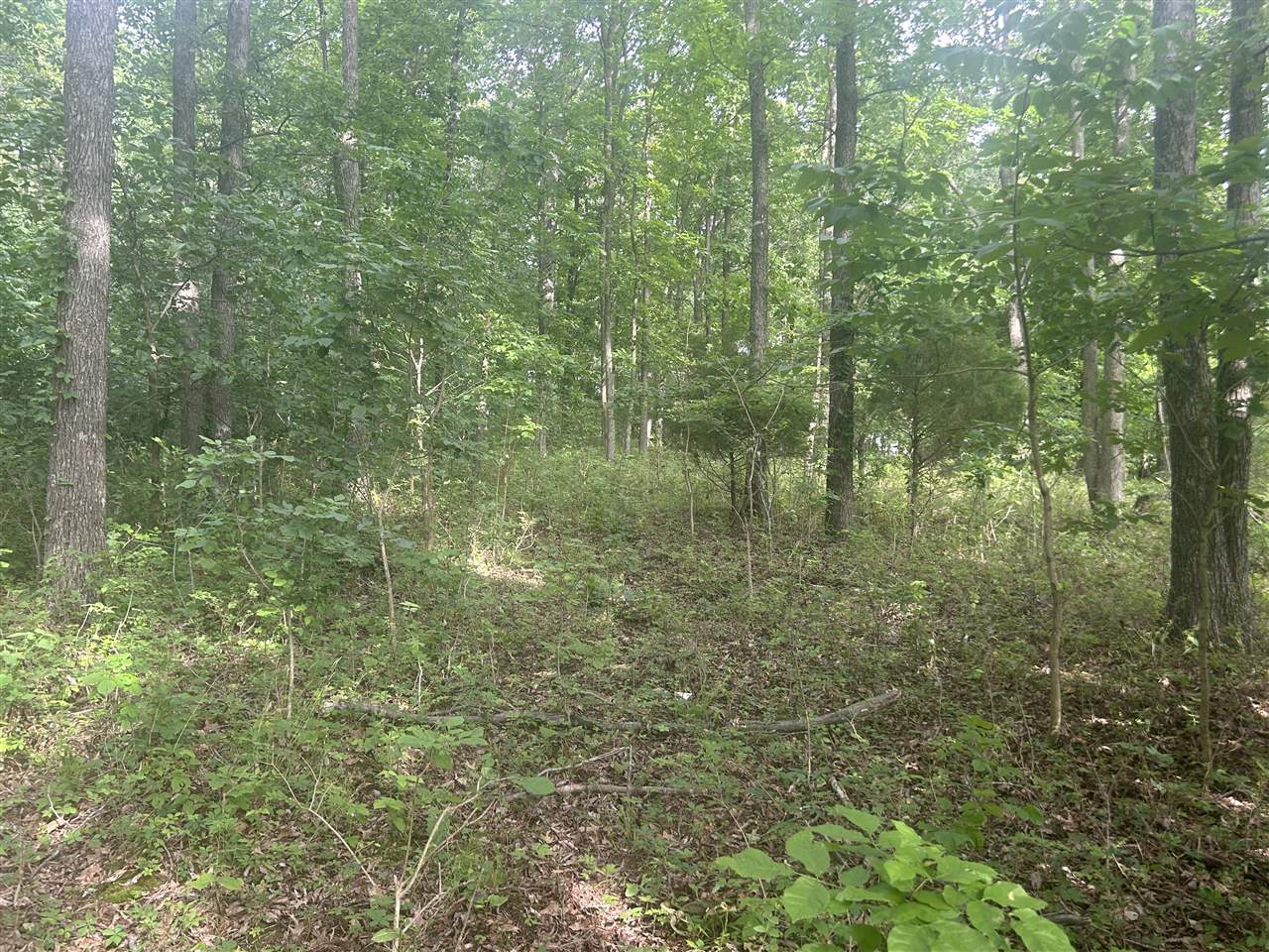 2700 State Route 654