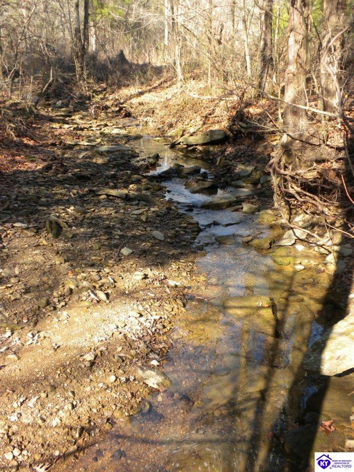0 Benleo Road Bowling Green, KY 42101 #1