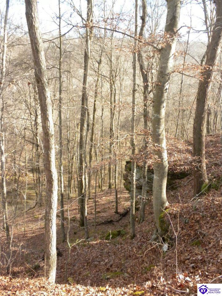 0 Benleo Road Bowling Green, KY 42101 #2