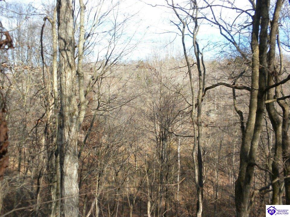 0 Benleo Road Bowling Green, KY 42101 #3