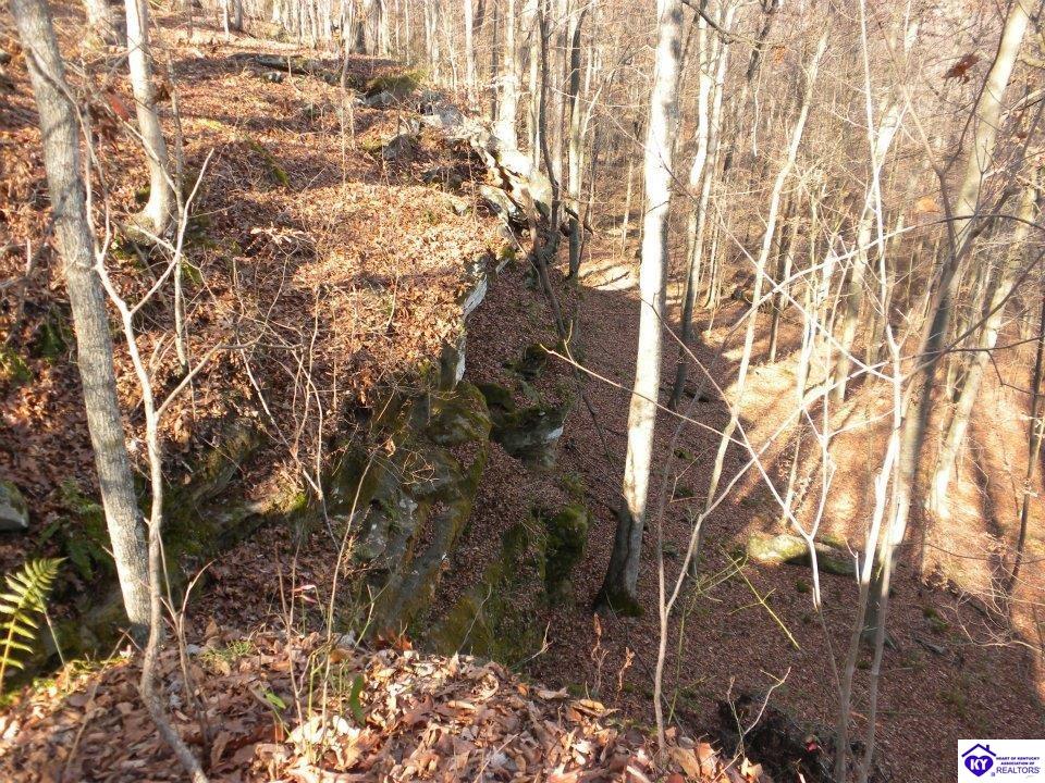 0 Benleo Road Bowling Green, KY 42101 #4