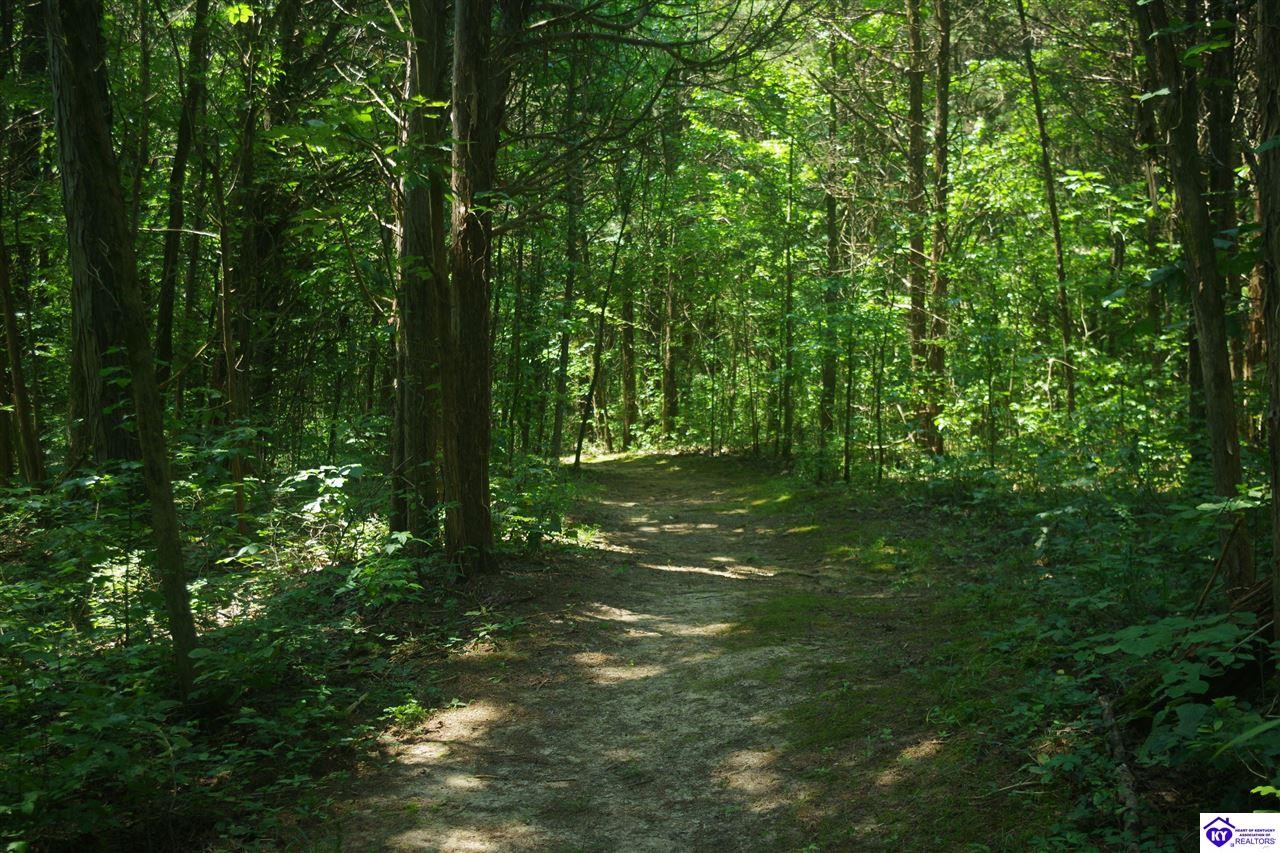 Listing Picture 730 Lakeview Circle Clarkson, KY 42726 MLS HK24002572