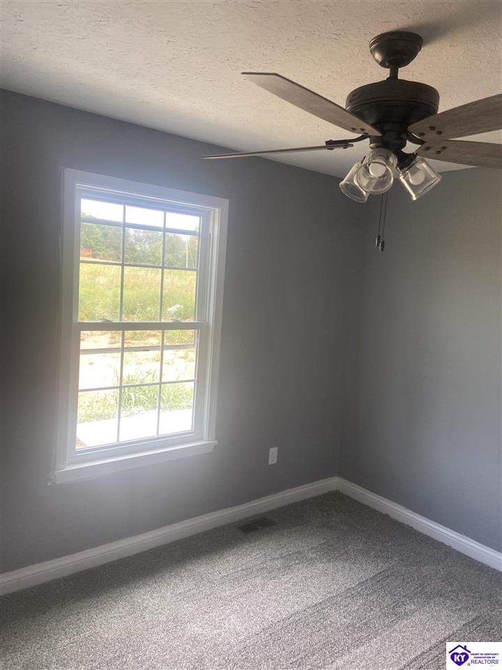 409 Wakefield Drive Elizabethtown, KY 42701 #3