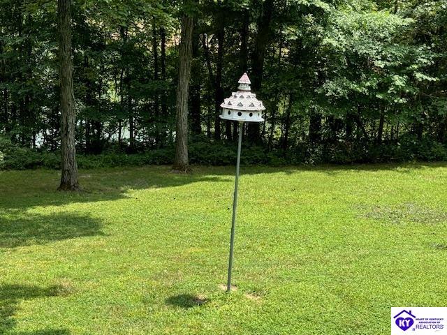 Listing Picture 324 Parkside Drive Falls of Rough, KY 40119 MLS HK24002759