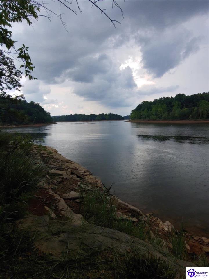 Listing Picture 324 Parkside Drive Falls of Rough, KY 40119 MLS HK24002759