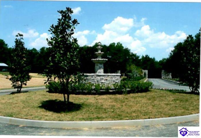 Lot 90 Bowman Christian RoadRussell Springs, KY 42629