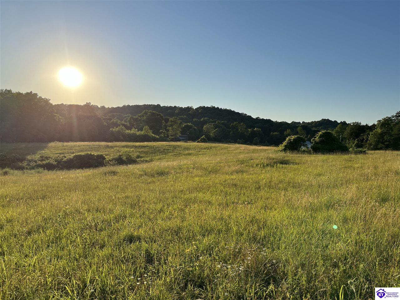 Wright LaneBonnieville, KY 42713