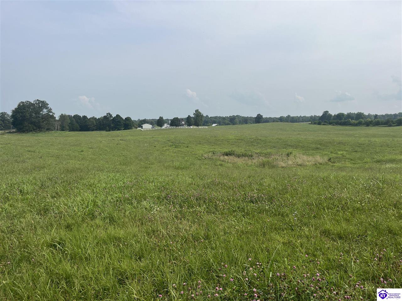 000 Weldon LoopUpton, KY 42784
