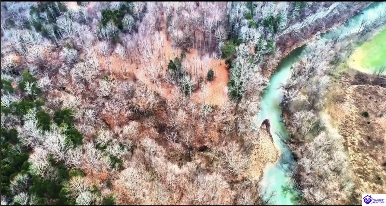 339 Akin Narrows-Pitman Creek RdGreensburg, KY 42743