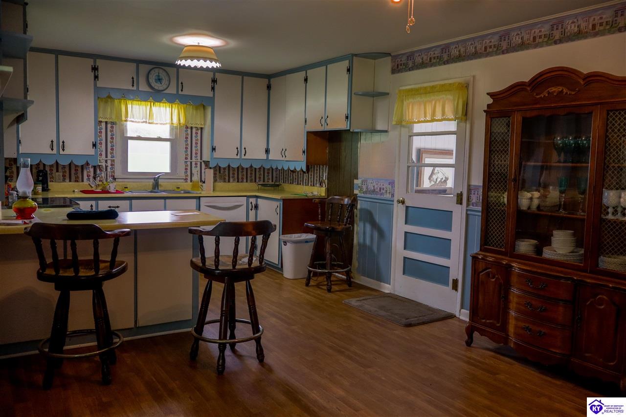 43 N Pleasant Hill Road Upton, KY 42784 #4