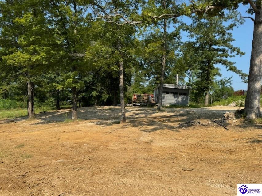 Listing Picture 74 Hillcrest Loop Falls of Rough, KY 40119 MLS HK24003102