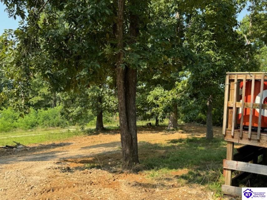 Listing Picture 74 Hillcrest Loop Falls of Rough, KY 40119 MLS HK24003102