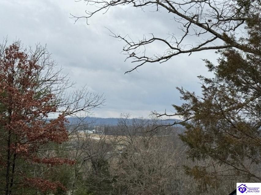 Listing Picture 74 Hillcrest Loop Falls of Rough, KY 40119 MLS HK24003102