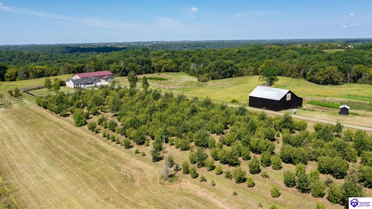 Listing Picture 992 Irwin Lane Pleasureville, KY 40057 MLS HK24003128