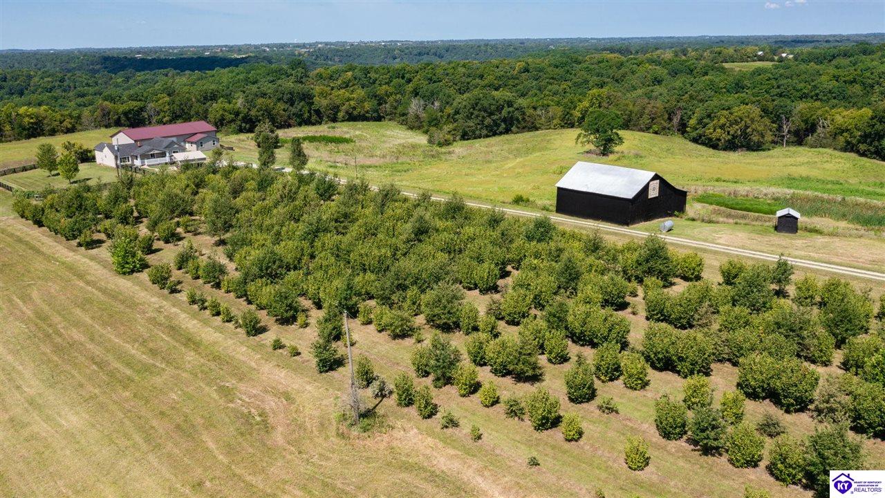 Listing Picture 992 Irwin Lane Pleasureville, KY 40057 MLS HK24003128