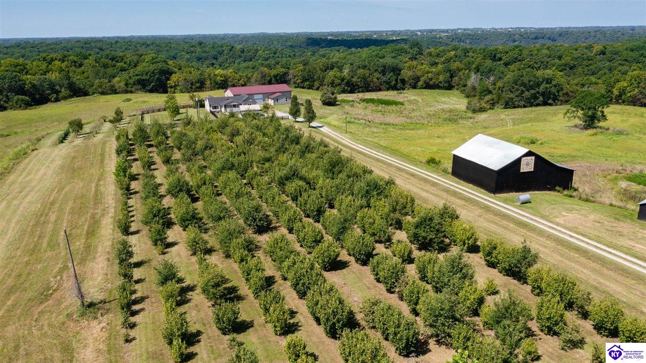 Listing Picture 992 Irwin Lane Pleasureville, KY 40057 MLS HK24003128