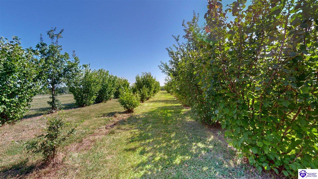 Listing Picture 992 Irwin Lane Pleasureville, KY 40057 MLS HK24003128