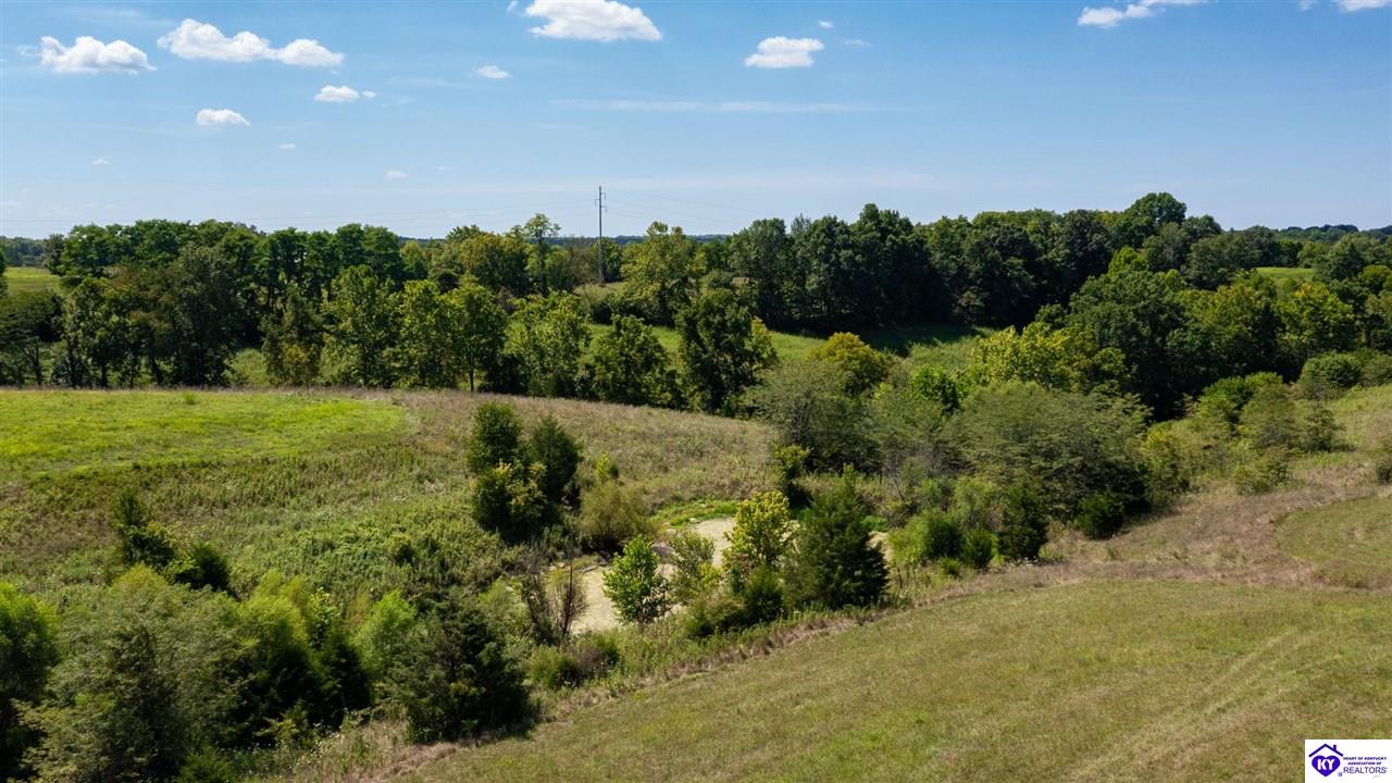 Listing Picture 992 Irwin Lane Pleasureville, KY 40057 MLS HK24003128