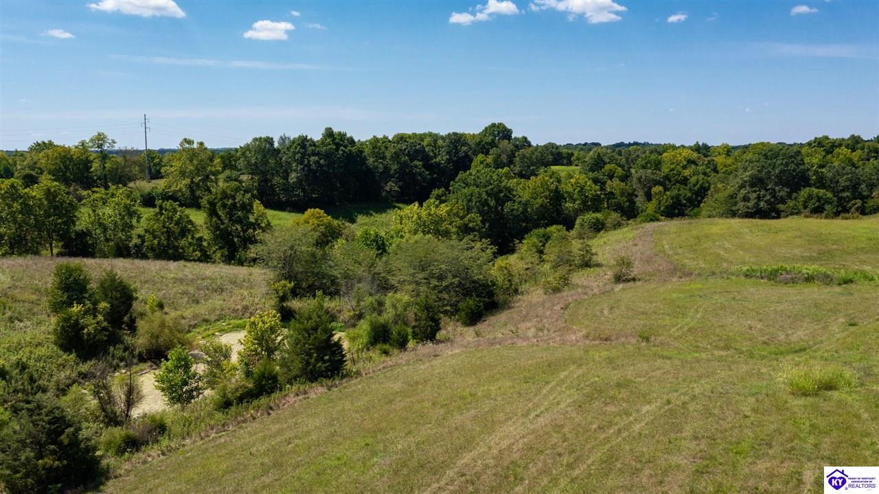 Listing Picture 992 Irwin Lane Pleasureville, KY 40057 MLS HK24003128