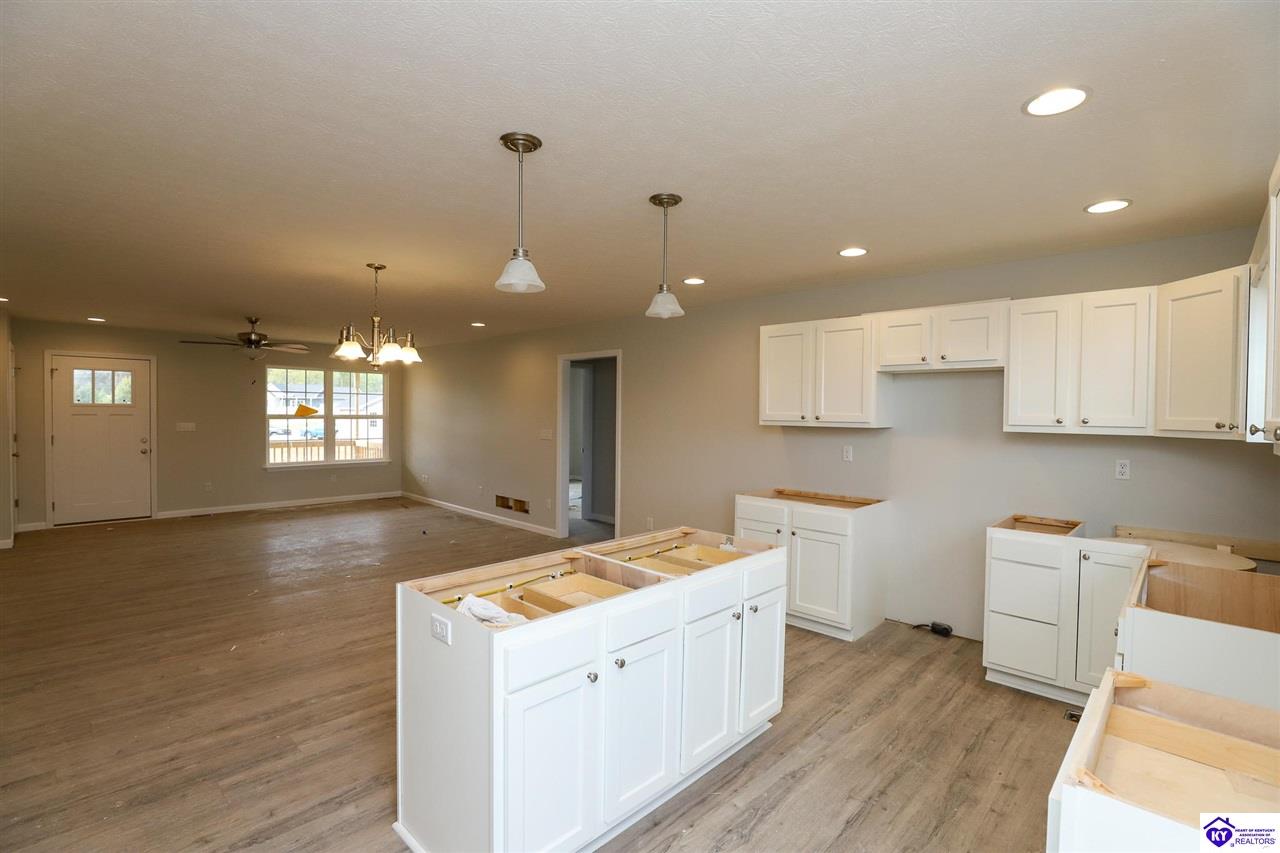 Listing Picture 210 Mandan Ct Guston, KY 40142 MLS HK24003206