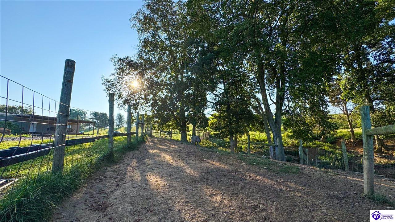 Listing Picture 175 Joe Kerr Road Campbellsville, KY 42718 MLS HK24003277