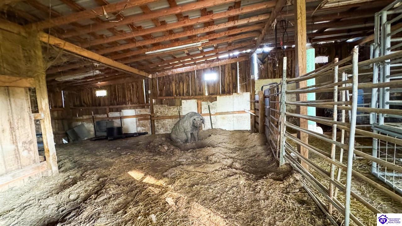 Listing Picture 175 Joe Kerr Road Campbellsville, KY 42718 MLS HK24003277