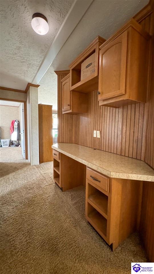 Listing Picture 175 Joe Kerr Road Campbellsville, KY 42718 MLS HK24003277