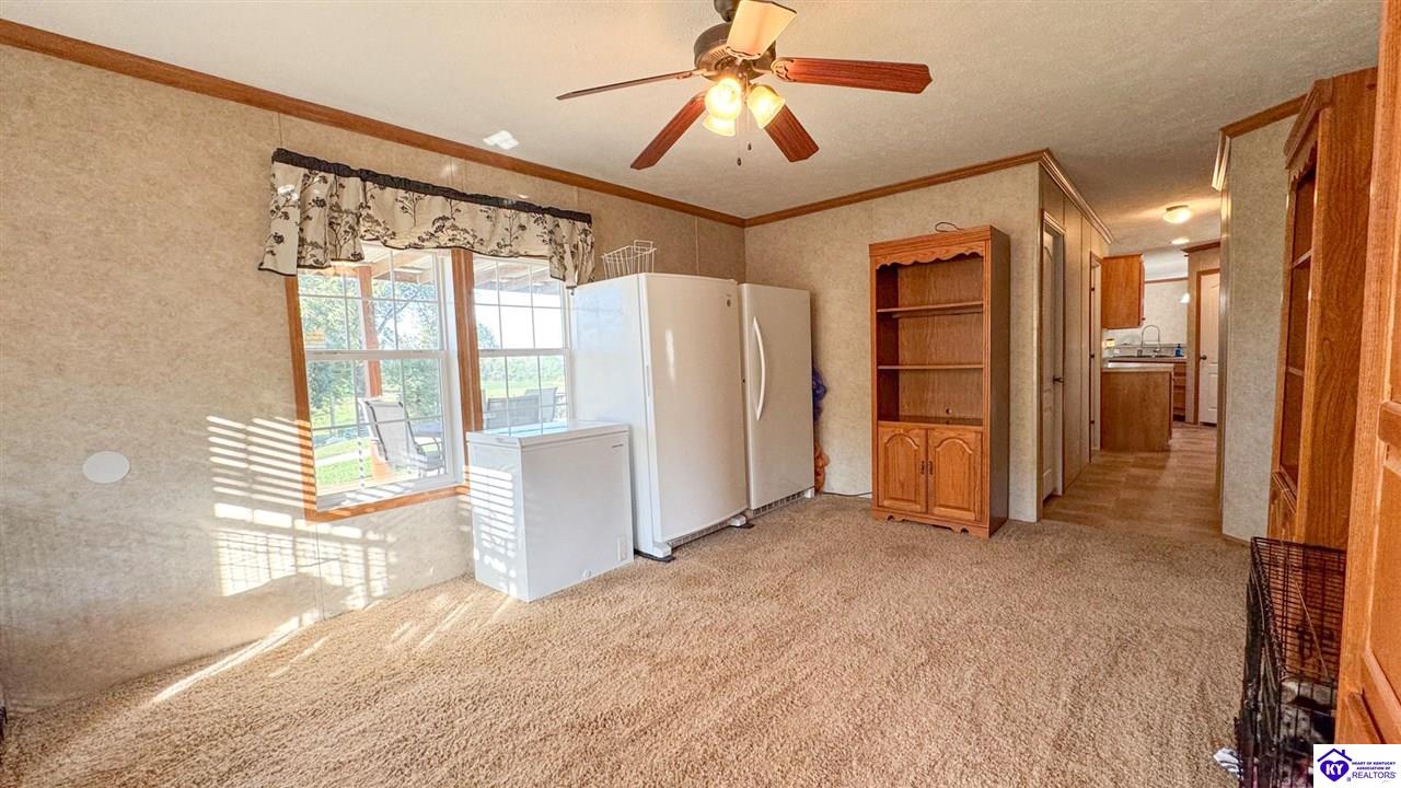 Listing Picture 175 Joe Kerr Road Campbellsville, KY 42718 MLS HK24003277